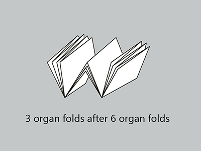 طواية نشرات ورقية (6 شباك مع 4 شباك)